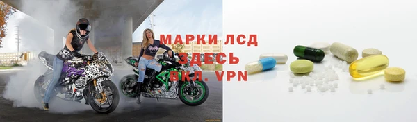 СК Вязьма