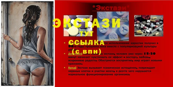СК Вязьма