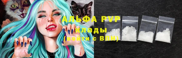 СК Вязьма