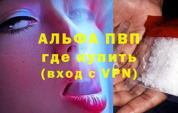 СК Вязьма