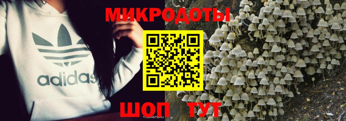 Псилоцибиновые грибы MAGIC MUSHROOMS  Вход с VPN  Галлюциногенные грибы MAGIC MUSHROOMS  Геленджик 